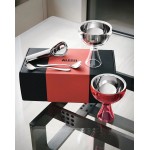 Coppe gelato ice cream gift set